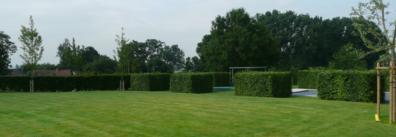 tuinonderhoud blok haagbeuk