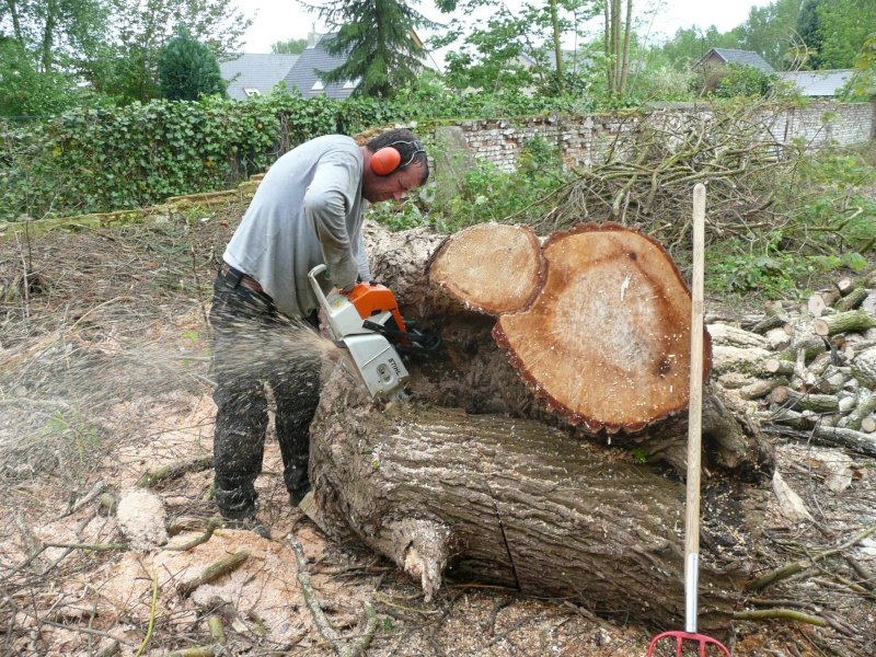 horticart verwijderen bomen
